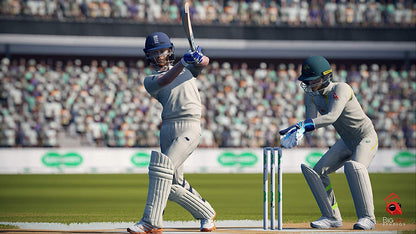 Cricket 19 The Official Game of the Ashes PS4 - GameStop Pakistan