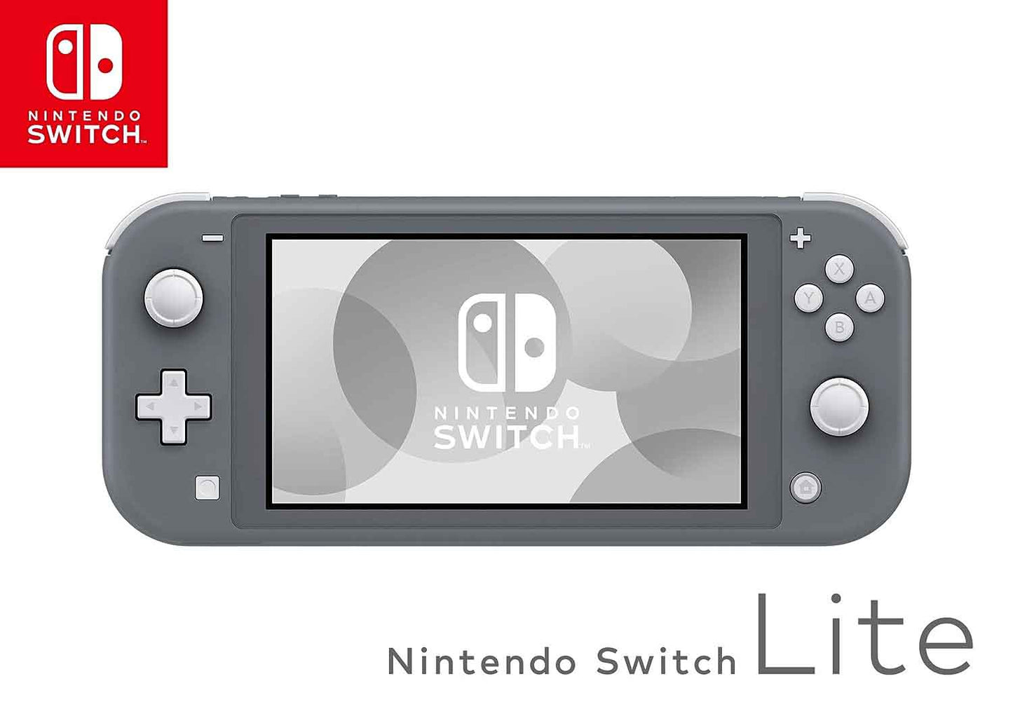 Nintendo Lite Grey - GameStop Pakistan